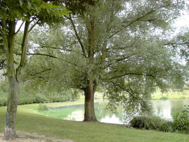 Etang de Nesles