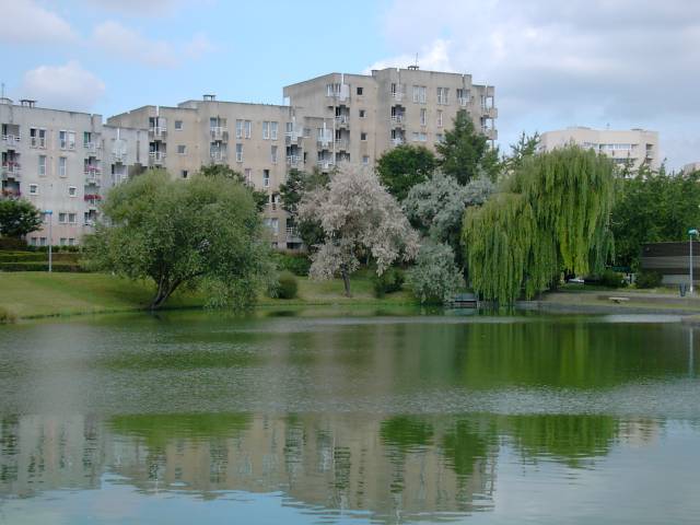 Etang et alle Emile Roux au fond