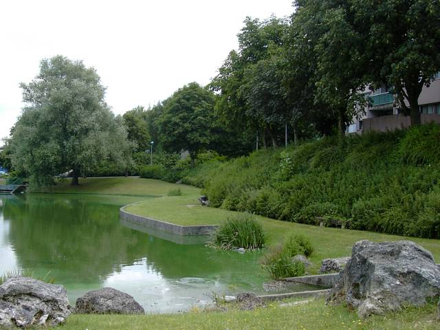 Etang de Nesles - Berge est