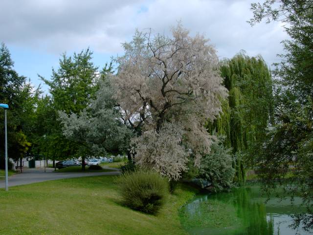 Etang Nesles - Berge nord-ouest