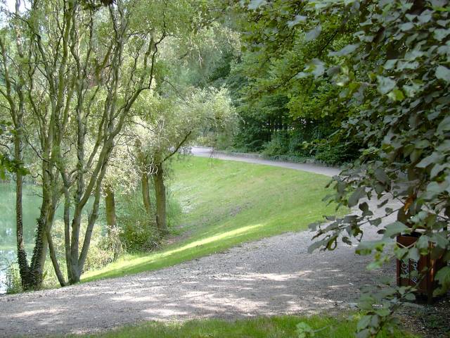 En bordure de l'tang du Bois de Grace
