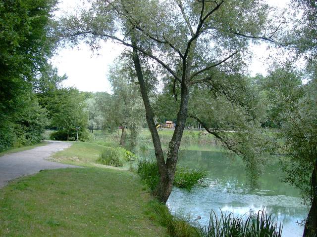 En bordure de l'tang du Bois de Grace