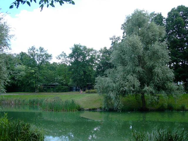 L'tang du Bois de Grace