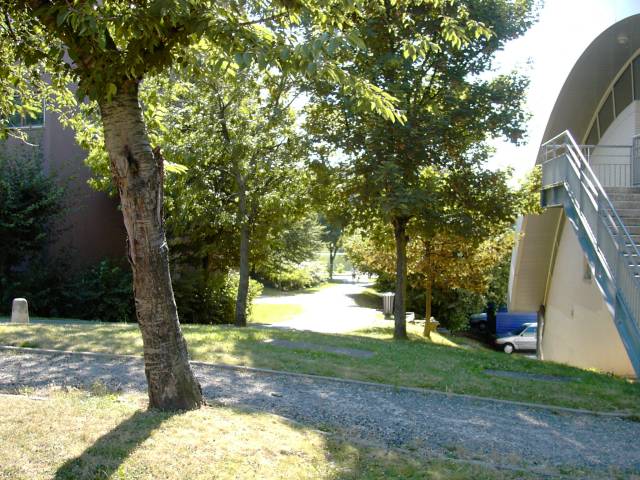 Chemin vers l'tang de Nesles