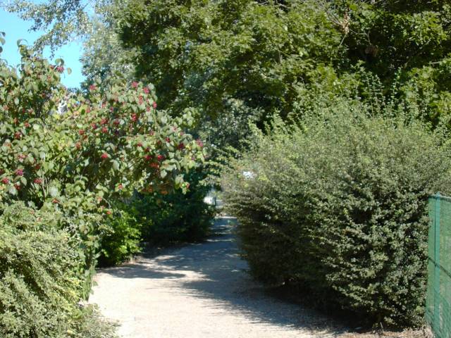 Chemin longeant l'cole Joliot-Curie