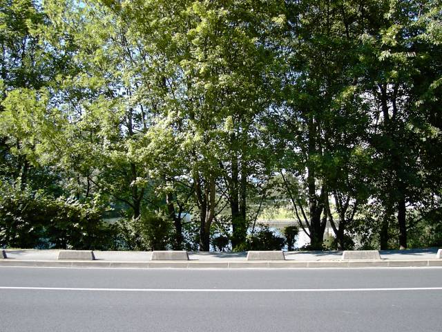 Etang du Bourvallais