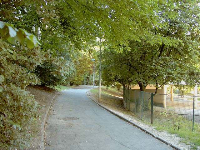 Chemin prs de Paul Langevin
