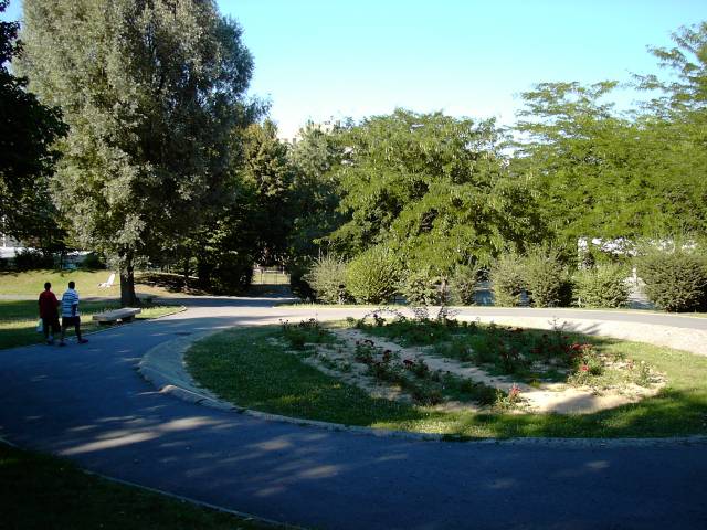 Rond-point pitonnier prs de Paul Langevin