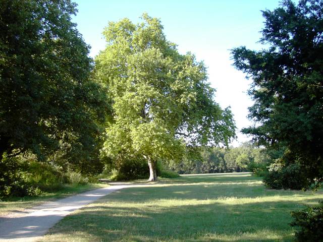 Entre du parc de Noisiel