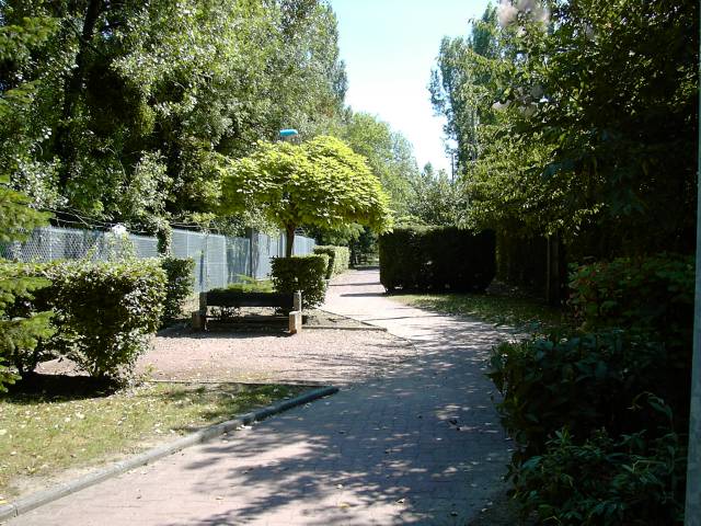 Zone pitonnire, rue des Marguerites