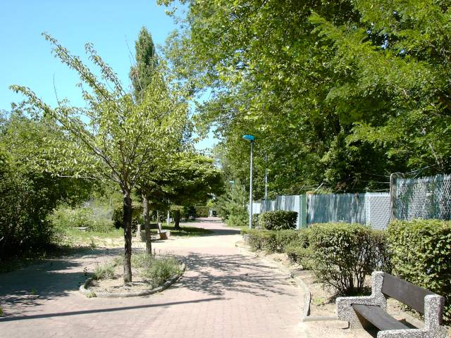 Zone pitonnire, rue des Marguerites