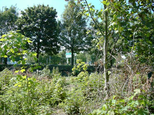 Sentier au dela des jardins potagers