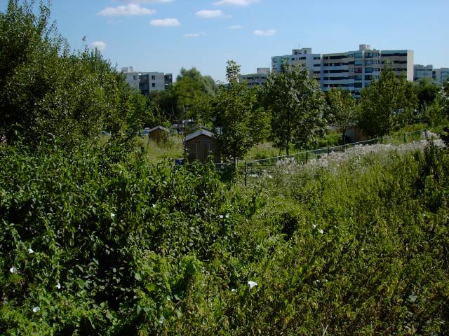 Jardins potagers