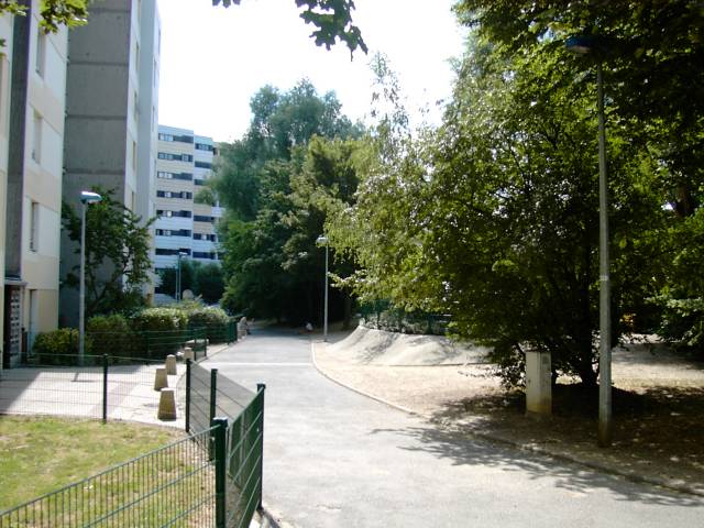 Alle Xavier Bichat