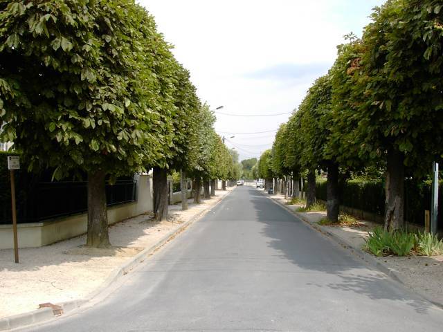 Rue des Roseaux - Vue du croisement avec le boulevard de la Marne en direction de la Marne