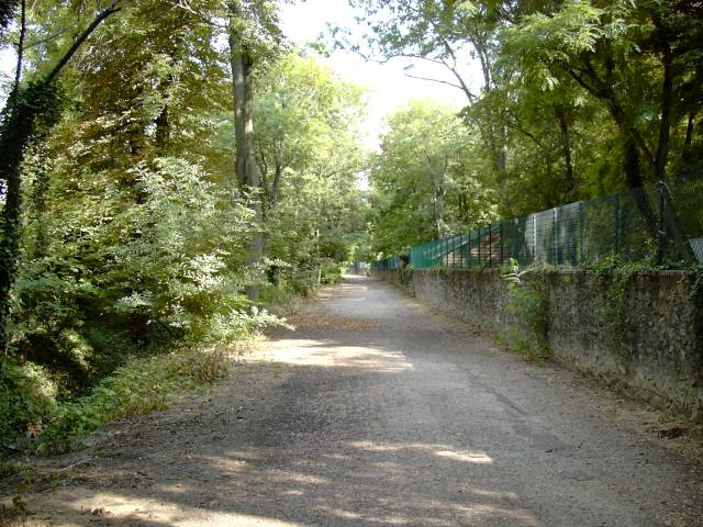 Chemin de la rivire - Vu  hauteur de la passerelle de l'alle Paul Favier en direction de la Marne