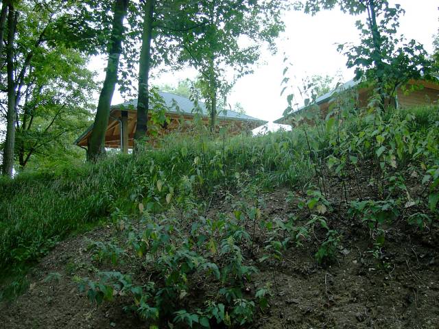 Base de loisir - Vue du parc du chteau