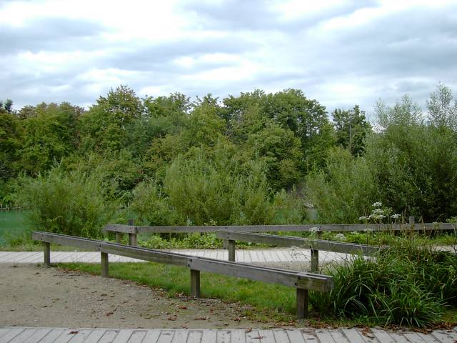 Promenade de Patis - Vue du parc, limite avec Noisiel