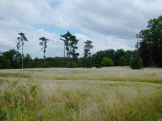 Partie est du parc