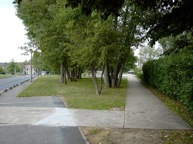 Cours du Luzard