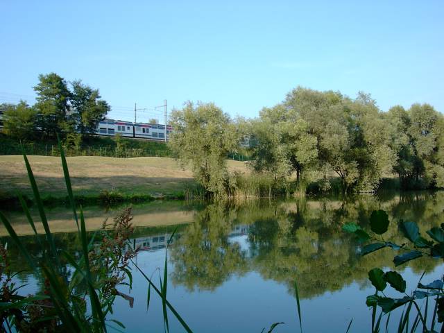 Etang de Bailly - Vu de la berge ouest, passage d'un RER