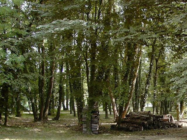 Centre de loisirs - Vu du chemin de la Rivire