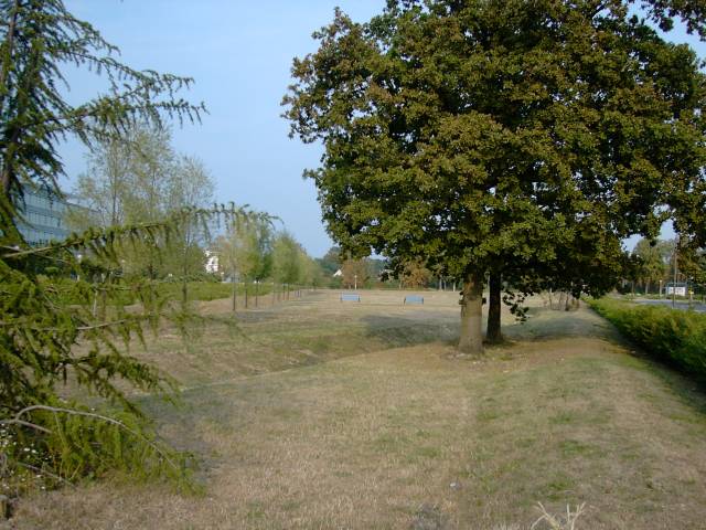 Terre-plain Bd Descartes - Av. Pascal