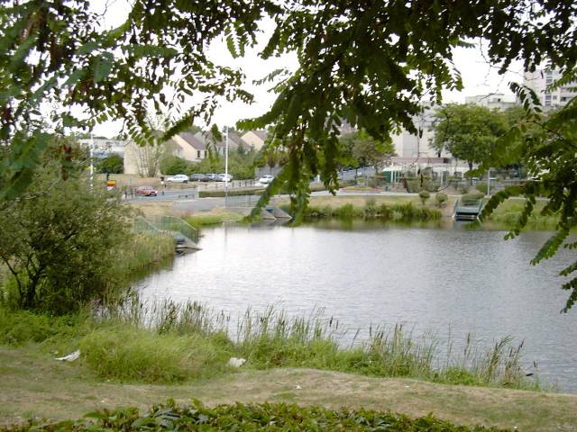 Etang de la Marchale