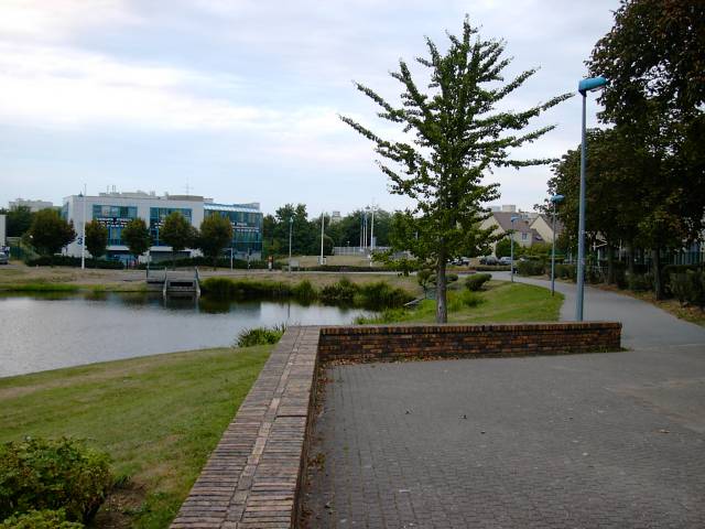 Chemin autour de l'tang