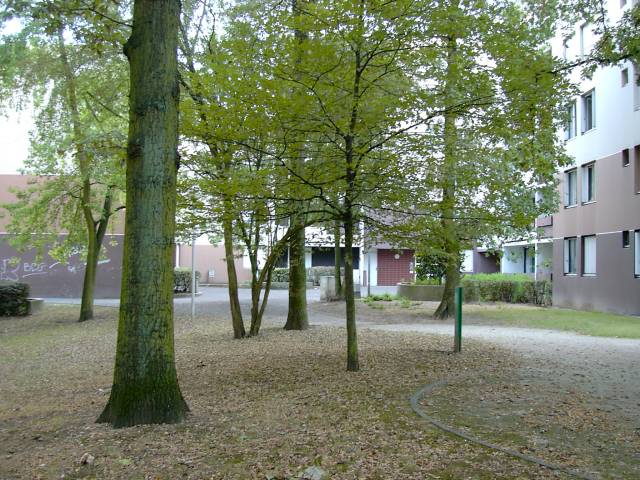 Immeubles alle de la Lisire